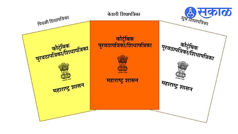 'सर्व्हर डाउन', 'धान्य संपले' अशी कारणं विसरा! खिशात राहणार तुमचं 'रेशन कार्ड'! 'इथे' सुरू झालीये खास सुविधा; घरबसल्या करता येणार तक्रार
