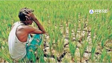 Beed Farmers News