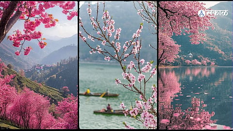 Nainital Travel