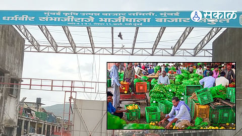 APMC Market