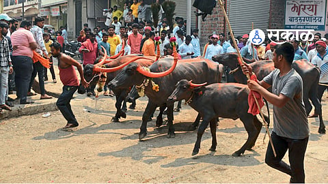Dharashiv