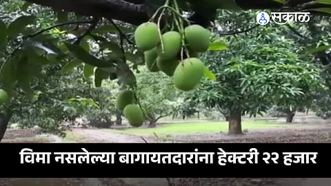 Agriculture Subsidy