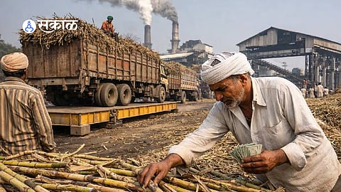 agriculture payment