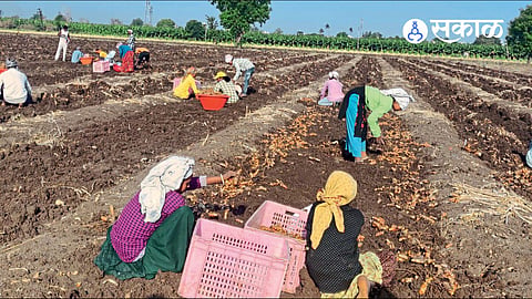 Akola News