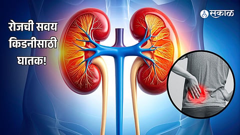 Kidney Health