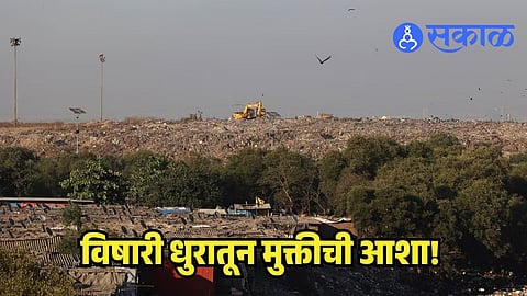 CRZ approval Deonar