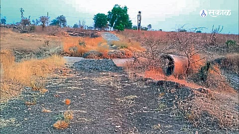 Yavatmal News
