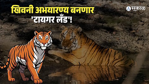 Khivni Sanctuary’s Big Leap: Eco-Tourism Boost as Tiger Population Grows