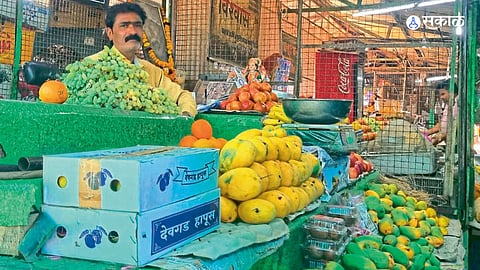 Vardha News