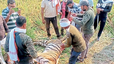 Vidarbha News