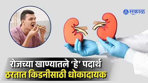 Hidden Kitchen Foods That May Harm Your Kidneys: Change These Eating Habits Today