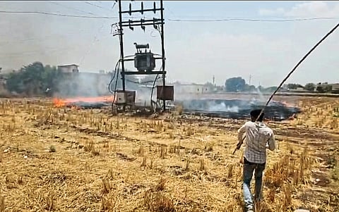 विद्युत रोहित्रातून ठिणग्या पडल्याने गवताला आग