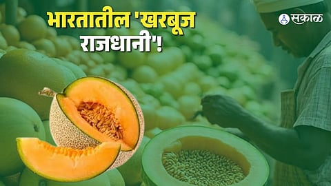 India Shines in Global Melon Market with Record Output from Leading State