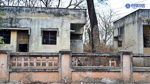 Beed News