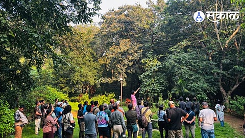Phansad Bird Count 2026: A Unique Citizen Science Initiative in Raigad