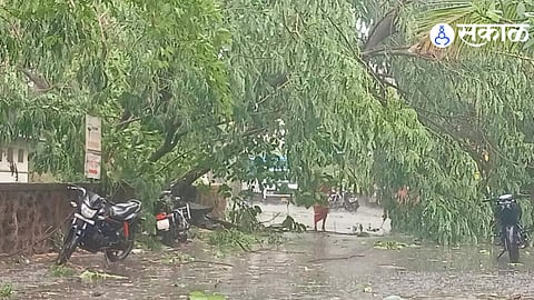 Massive Infrastructure Damage: Roofs Blown Off, Trees Uprooted, and Power Outages