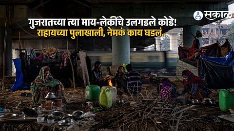 High-Visa Holders Living in Poverty Under Bridge: Shocking Case Unfolds in Maharashtra