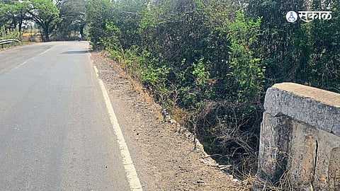 Vidarbha News