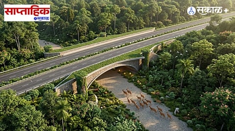 India wildlife corridors