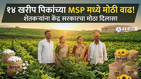 MSP Hike for 14 Kharif Crops Gives Major Relief to Farmers