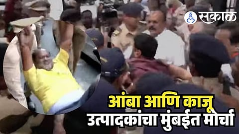 Mumbai Mango Farmers Protest