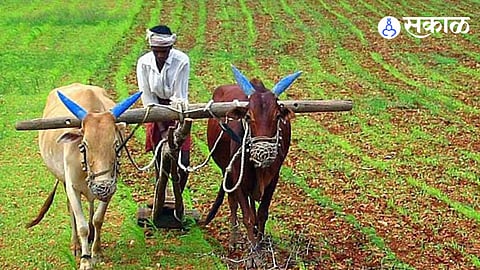 Farmers Compensation