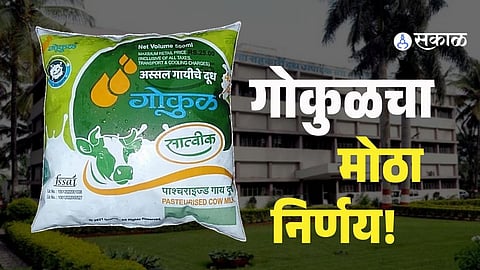 Gokul Milk Price Hike Brings Relief To Cow Milk Farmers in Kolhapur