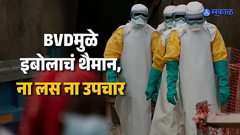Ebola Outbreak Kills 88 in Congo and Uganda WHO Sounds Alarm
