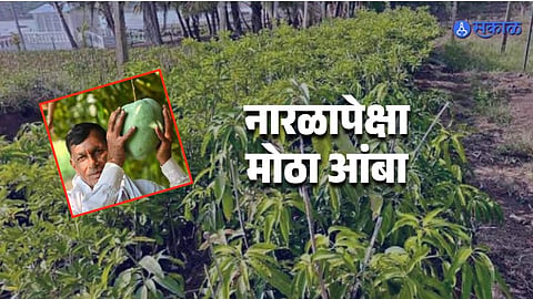 Beed News