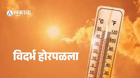 Scorching heatwave grips Nagpur as temperatures soar above 45°C, raising concerns over heat stroke and public safety.