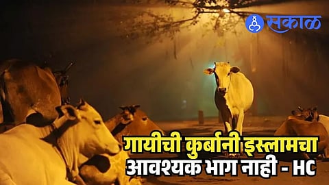 Bakrid Sacrifice Rule