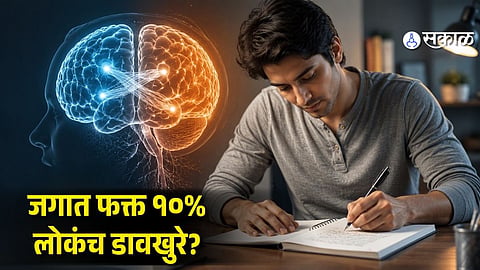 Interesting Brain Connection Behind the 10% Lefty Population