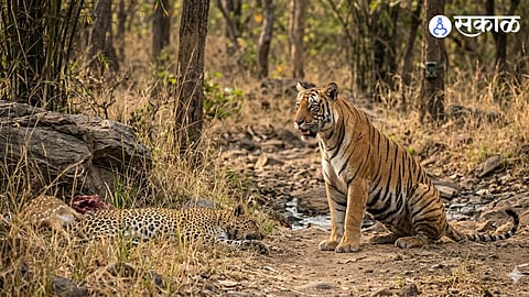 Yavatmal