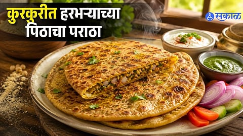 Chikpea Flour Cheese Paratha