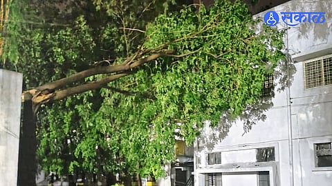 Ahilyanagar Hit by Strong Winds and Rain; Water and Electricity Services Affected