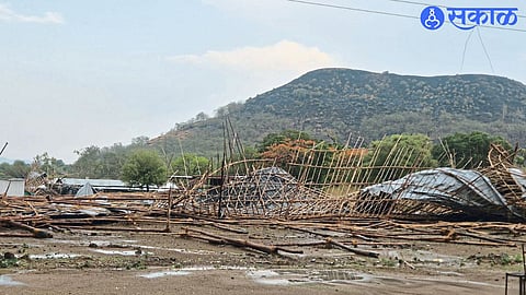 Farmers in Tears as Hailstorm Damages Vineyards and Mango Orchards