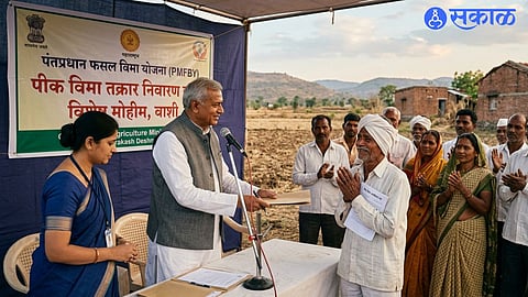 Yavatmal: तांत्रिक कारणांमुळे नाकारलेल्या पीकविमा ;प्रकरणांची फेरतपासणी; कृषिमंत्र्यांचे निर्देश