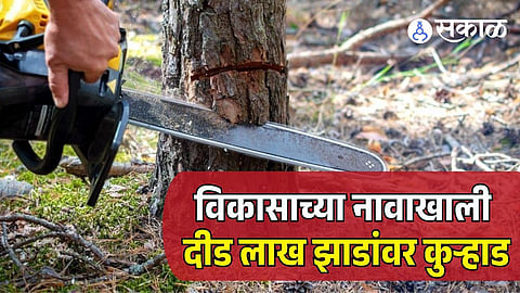 Trees Cutting For Development Project