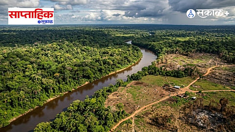 Amazon rainforest tipping point