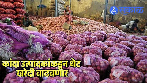 Maharashtra Onion Directs Nafed Nccf
