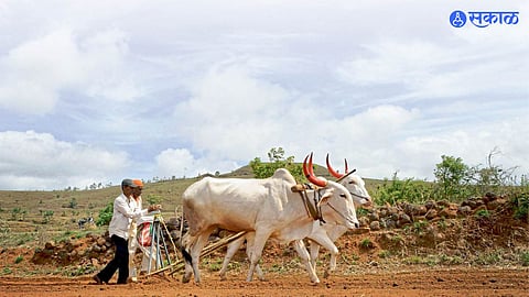 Buldhana