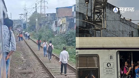 Harbour line news