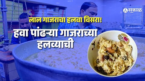 Forget Red Carrots, White Carrot Halwa is the New Sweet Sensation