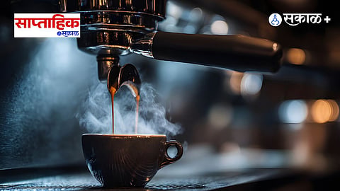 Cafe Franchise Investment Guide