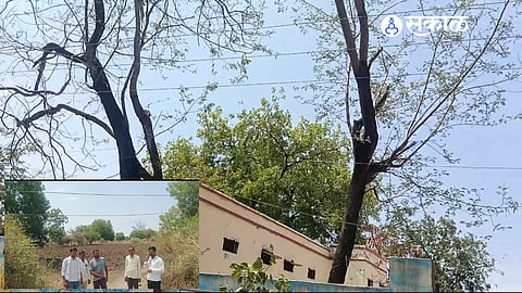 Life-Threatening Hazard: High-Voltage Lines at School Entrance