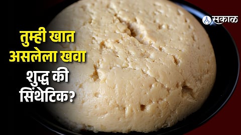 synthetic Khoya test at home