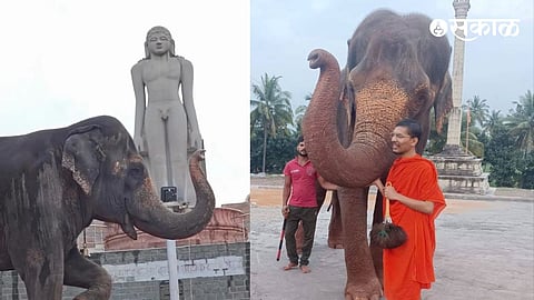 Madhuri Mahadevi Elephant Hearing latest update