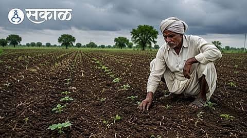 State Government Announces ₹334.98 Crore Compensation for Crop Losses