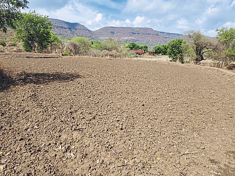 भात रोपांच्या उगवणीसाठी
मुळशीकरांचे डोळे आभाळाकडे