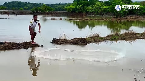 Fishing for 'Valgan' fish in Raigad district rivers after monsoon arrival